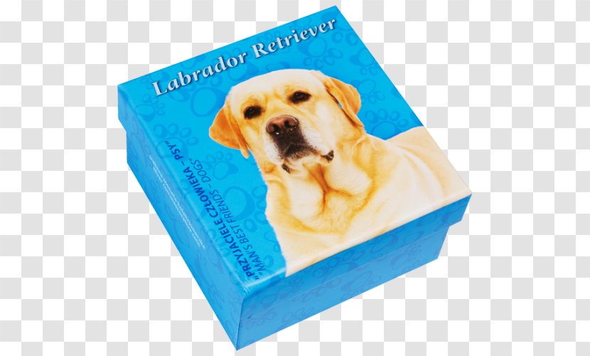 Labrador Retriever Puppy Golden Dog Breed - Flower Transparent PNG