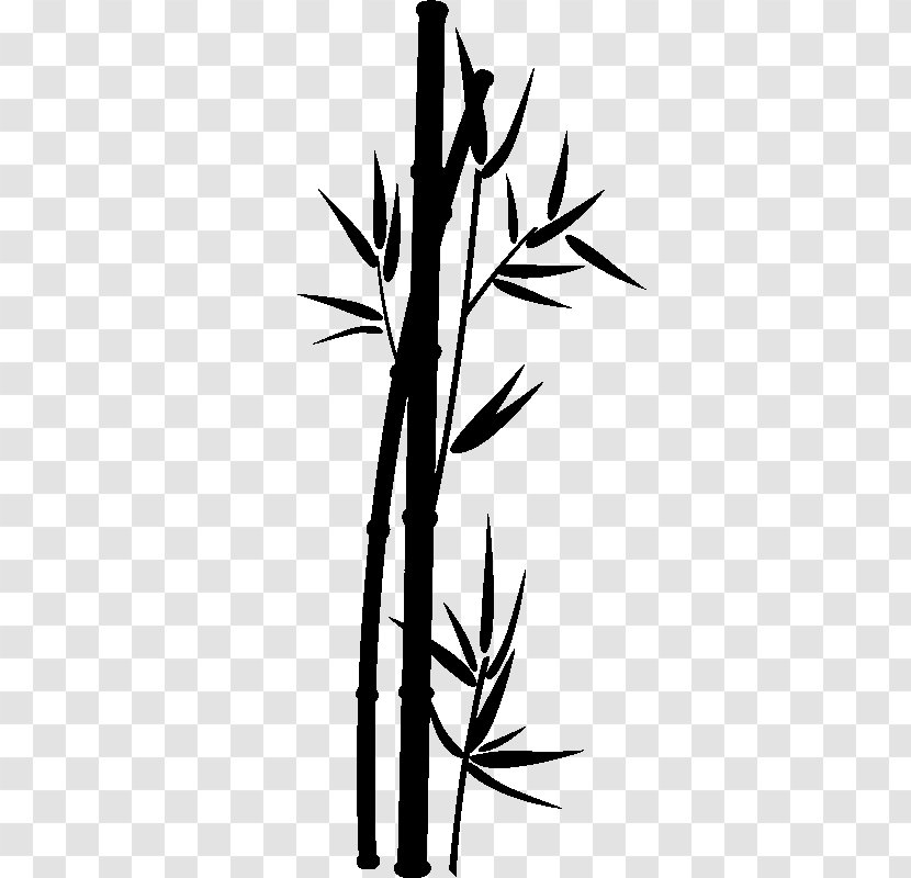 Sticker Art Bambou Tropical Woody Bamboos Plant Stem - Twig - Bamboo Painting Transparent PNG