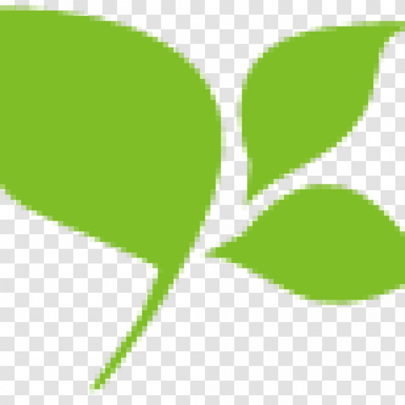 Leaf Plant Stem Green Font - Environment-friendly Transparent PNG