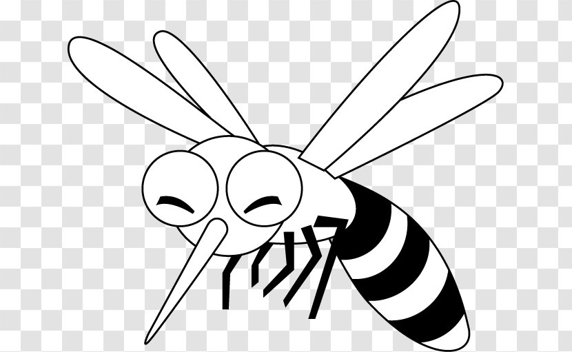 Mosquito Insect Fly Drawing - Silhouette Transparent PNG