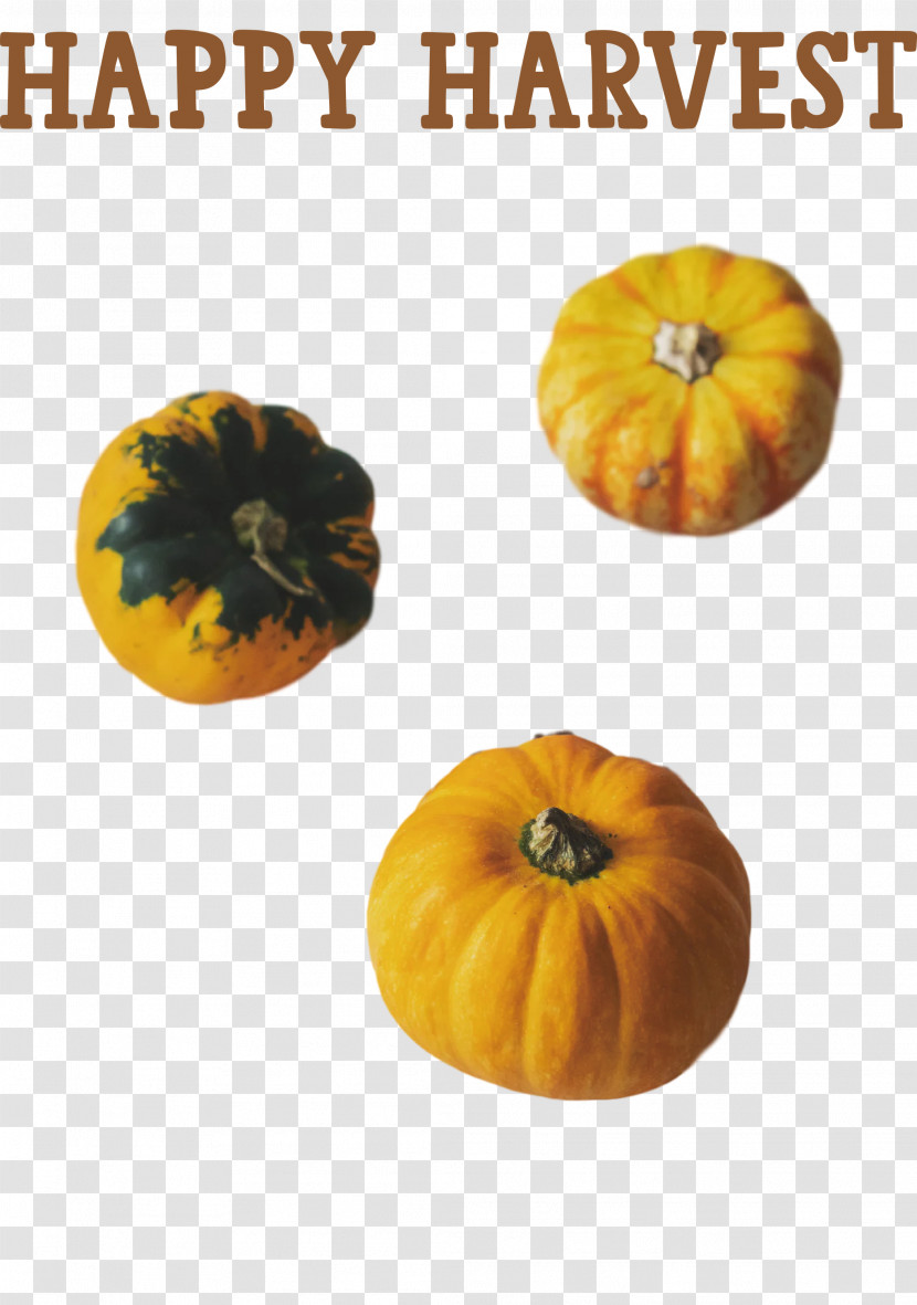 Happy Harvest Harvest Time Transparent PNG