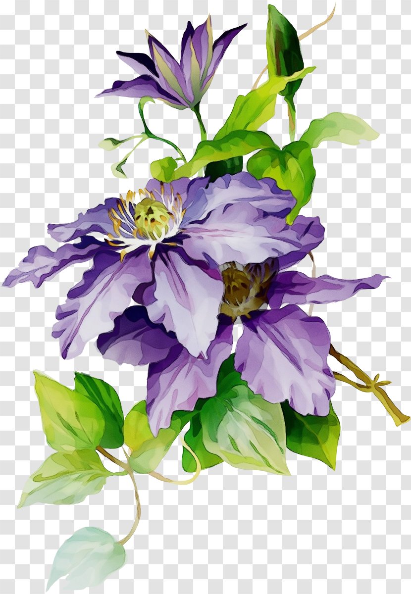 Lavender - Purple - Bouquet Transparent PNG