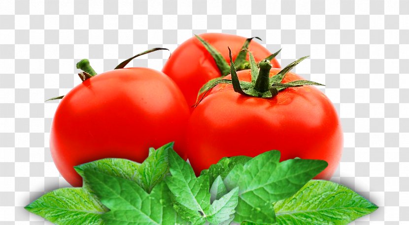 Organic Food Tomato Juice Vegetarian Cuisine Paste Vegetable - Paprika Transparent PNG