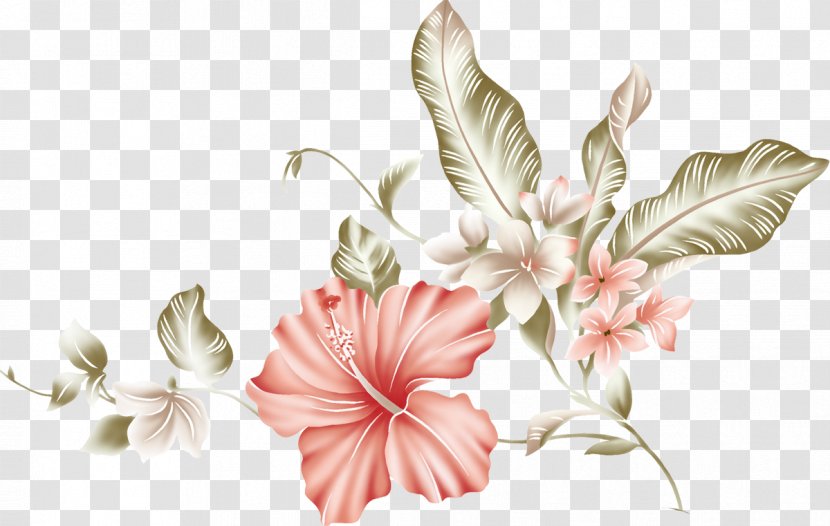 Flower Clip Art - Malvales Transparent PNG