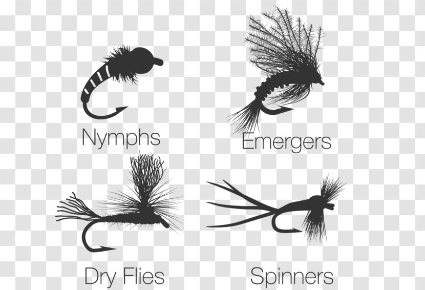 Dry Fly Fishing Tying Trout - Flies Proven Patterns Transparent PNG