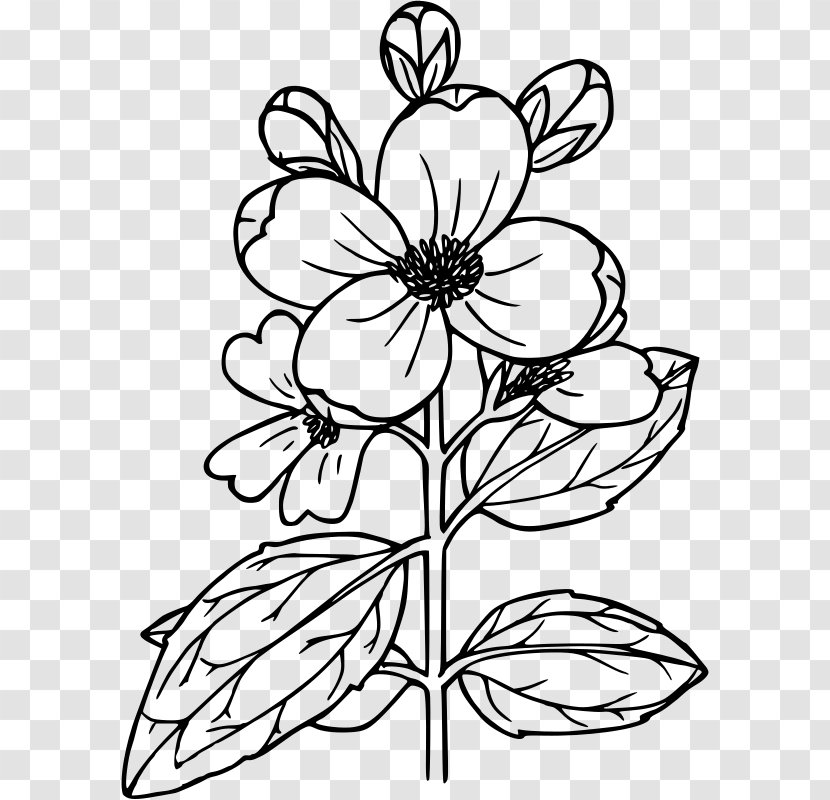 Flower Drawing Power House Mechanic Working On Steam Pump Clip Art - Flowering Plant Transparent PNG