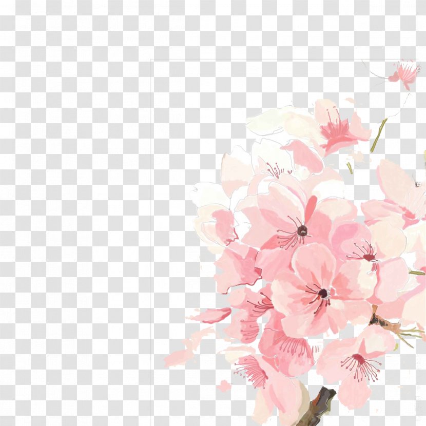 Cherry Blossom - Branch - Ink Hand-painted Trees Buckle Free Material Transparent PNG