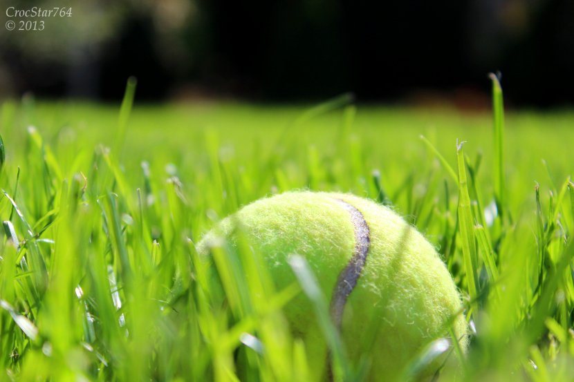 The Championships, Wimbledon Tennis Balls Padel Transparent PNG
