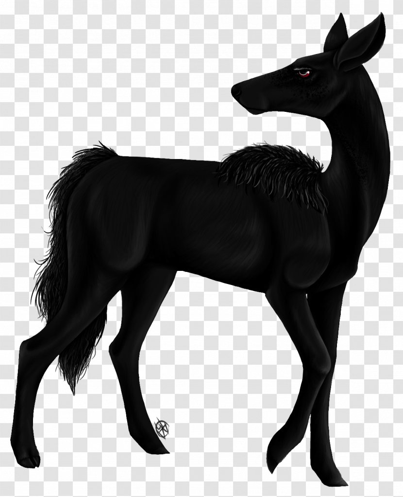 Mustang Foal Stallion Deer Pack Animal - Figure Transparent PNG