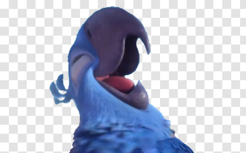 Beak Parrot Cobalt Blue Neck Transparent PNG