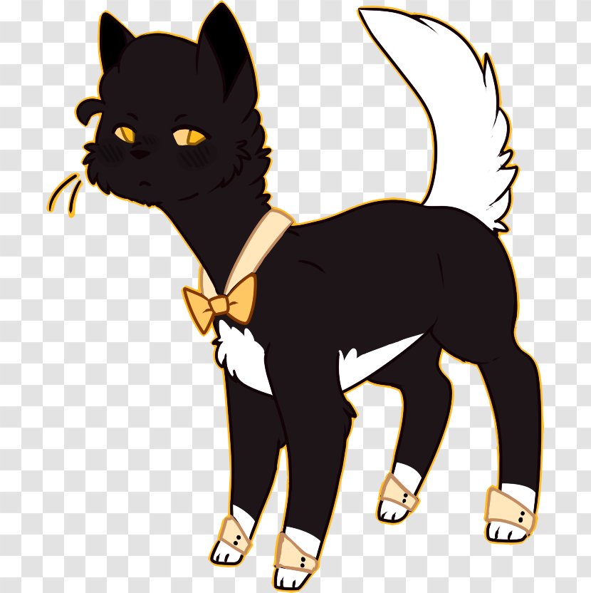 Dog Whiskers Black Cat Illustration - Kitten - Argon Frame Transparent PNG