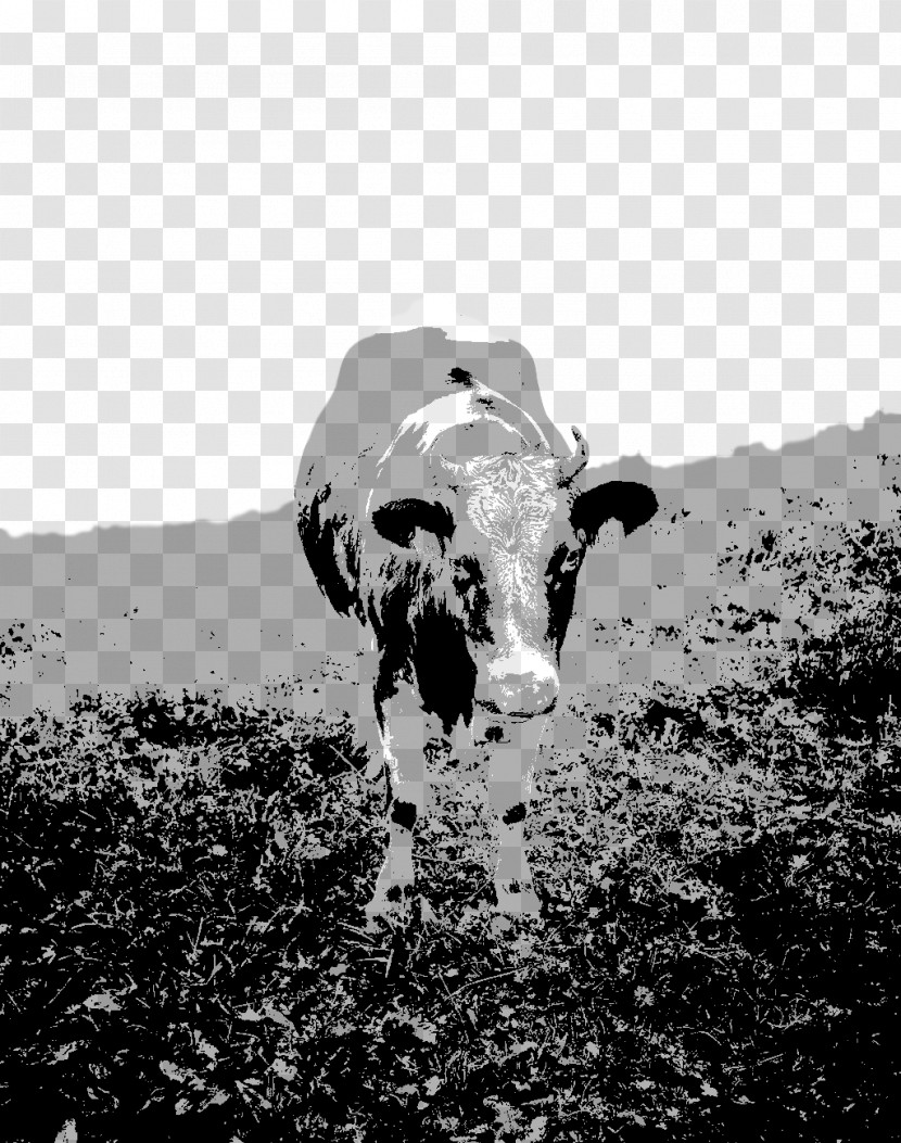 Bovine Black-and-white Dairy Cow Snout Horn Transparent PNG