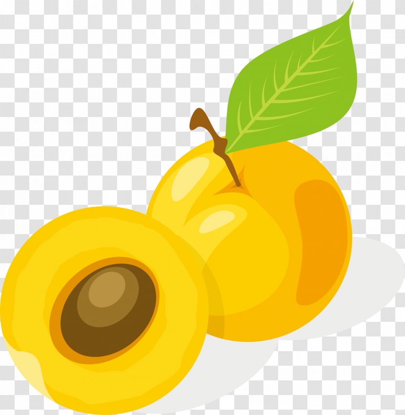 Orange Juice Apple Apricot - Drawing - Cartoon Fruit Transparent PNG