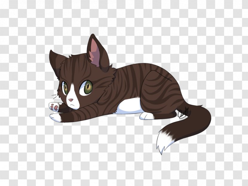 Whiskers Tabby Cat Domestic Short-haired Black - Small To Medium Sized Cats - Tuxedo Drawings Eyes Transparent PNG