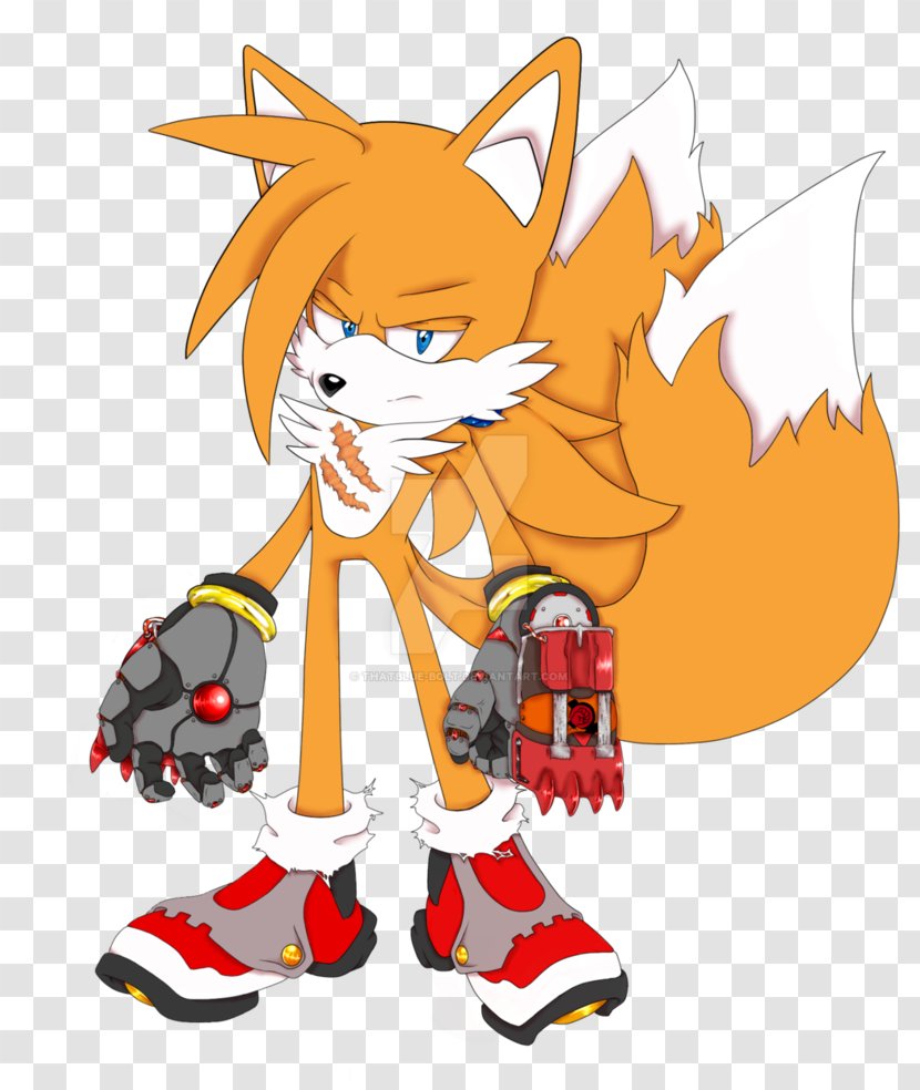 Tails Sonic Chaos Cat Free Riders Boom: Shattered Crystal - Watercolor Transparent PNG