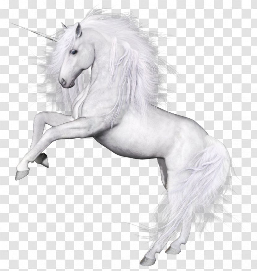 Unicorn Horse Oreus Kristian's Quest Mane - Neck - Transparent PNG