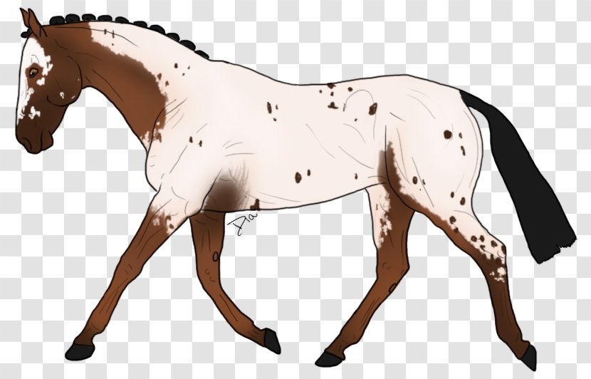 Mustang Foal Stallion Pony Mare - Bridle Transparent PNG