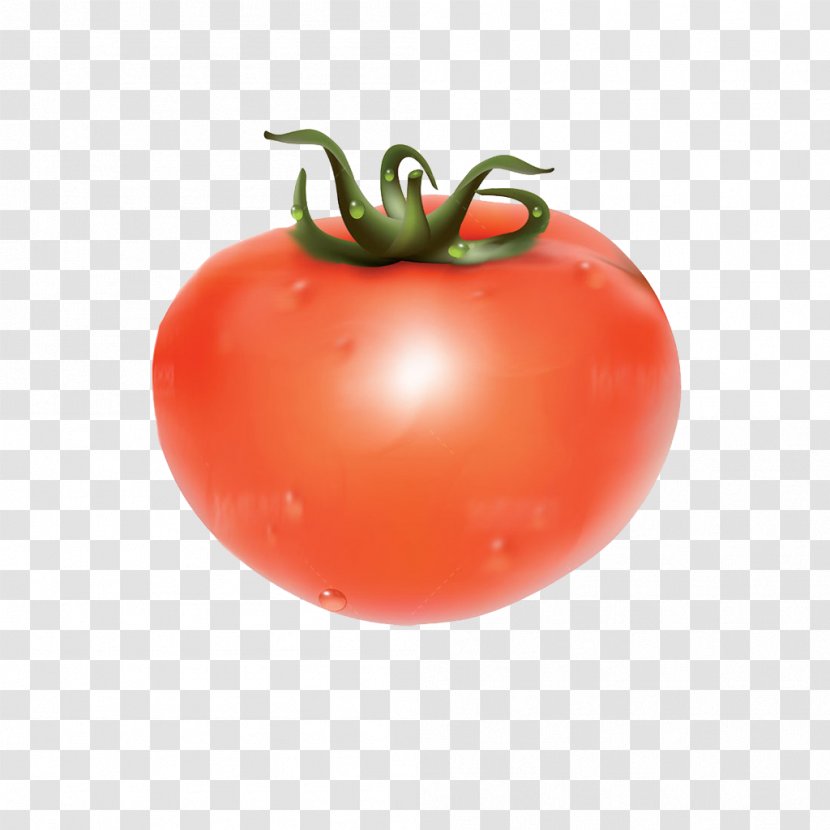 Juice Pizza Tomato Vegetable - Diet Food - Cartoon Tomatoes Vegetables Transparent PNG
