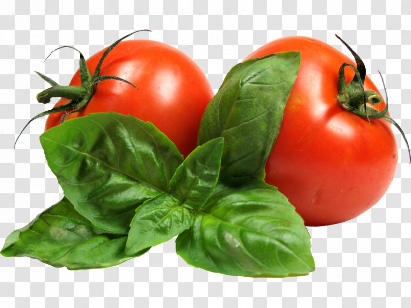 Tomato Soup Cherry Vegetarian Cuisine Pear - Flowering Plant - Vegetable Transparent PNG