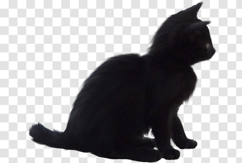 Black Cat Bombay Domestic Short-haired Whiskers - Snout Transparent PNG