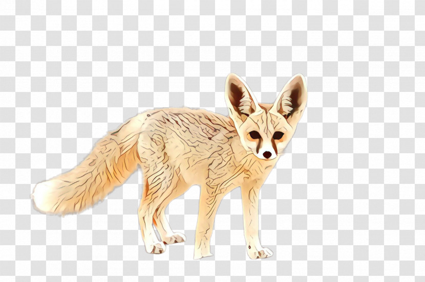 Fennec Fox Fox Swift Fox Jackal Wildlife Transparent PNG