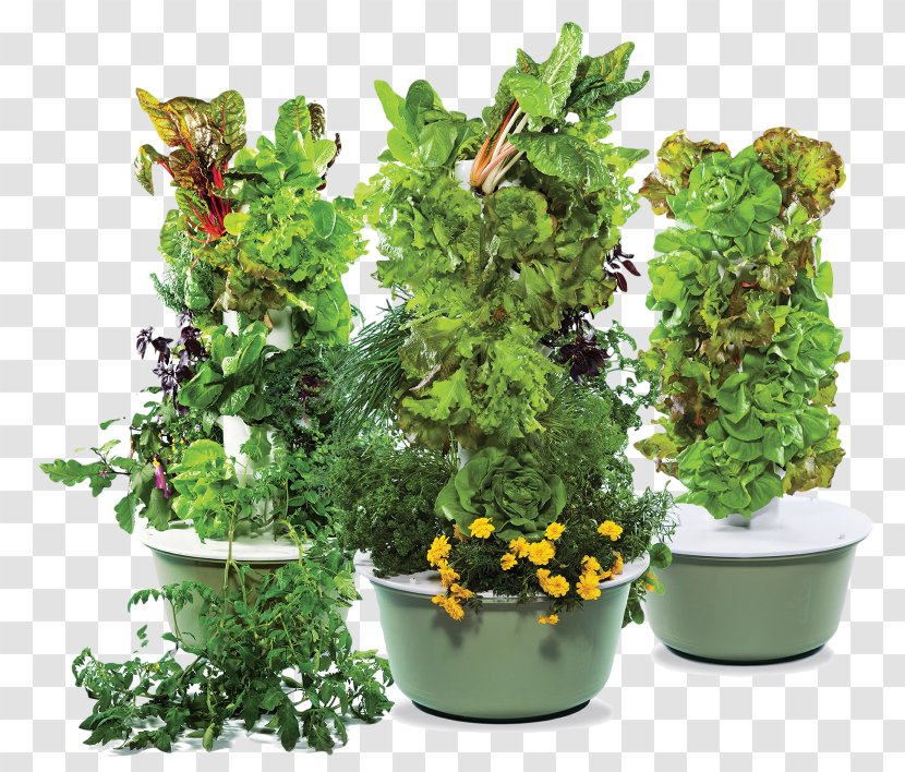 Aeroponic Tower Garden Australia : 15 Best The Tower Garden Australia