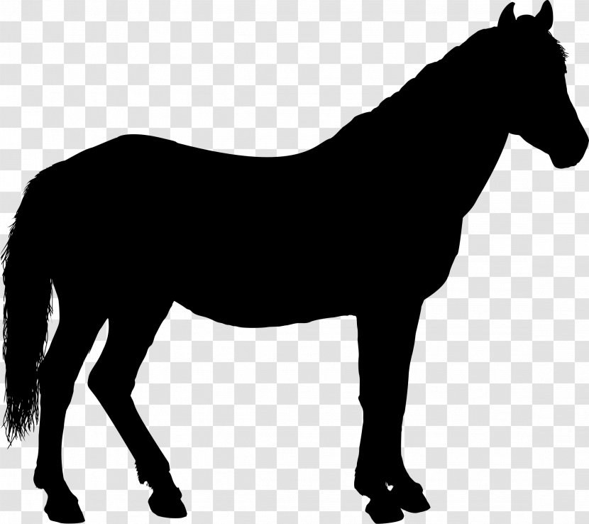 Horse Silhouette Clip Art - Mare - Riding Transparent PNG