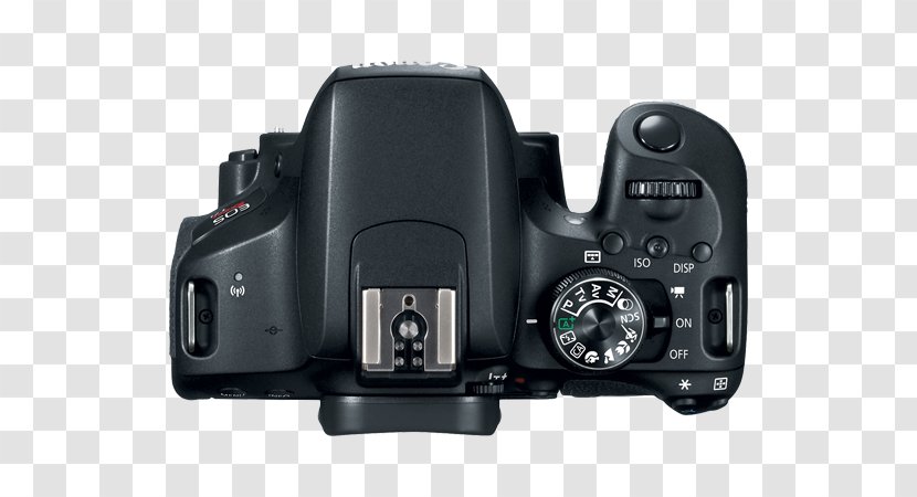 Canon EOS 77D 800D M6 80D EF-S Lens Mount - Eos - Kit Transparent PNG