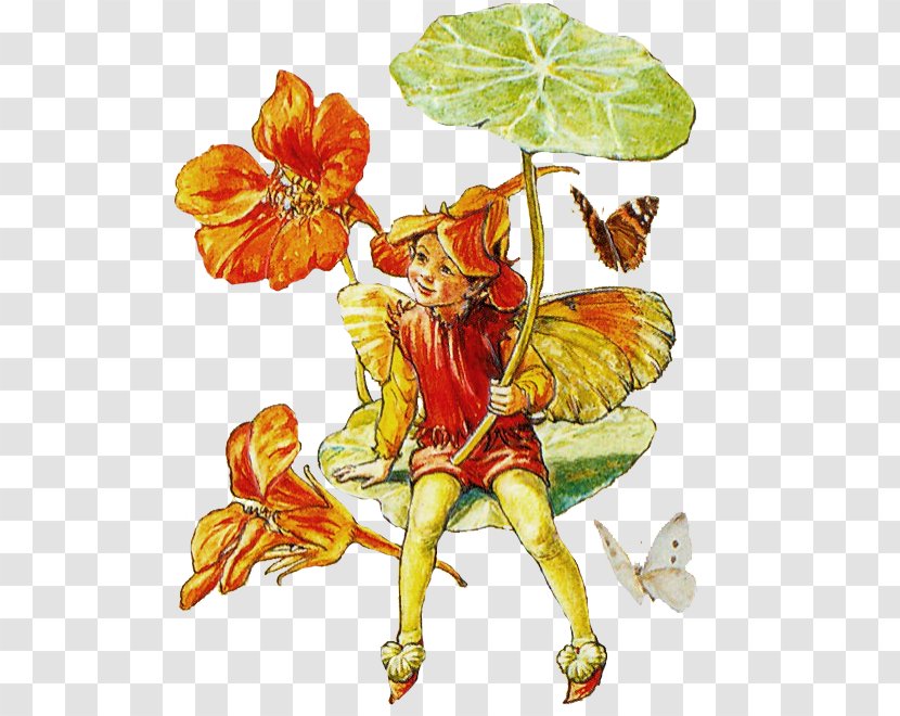 A Flower Fairy Alphabet The Book Of Fairies - Photography Transparent PNG