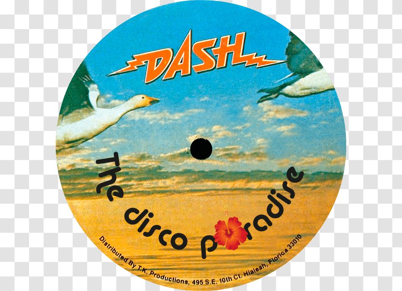 Record Label DVD Disco Compact Disc - Tree - Dvd Transparent PNG