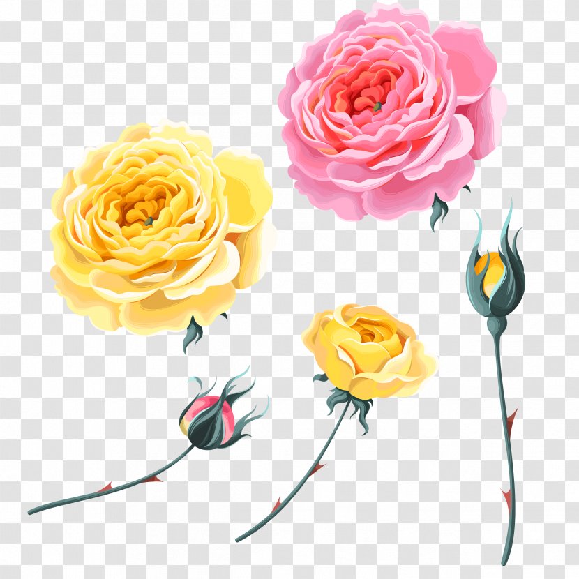 Garden Roses Beach Rose Yellow - Rose,Pink Roses,Yellow Rose,Bud Transparent PNG