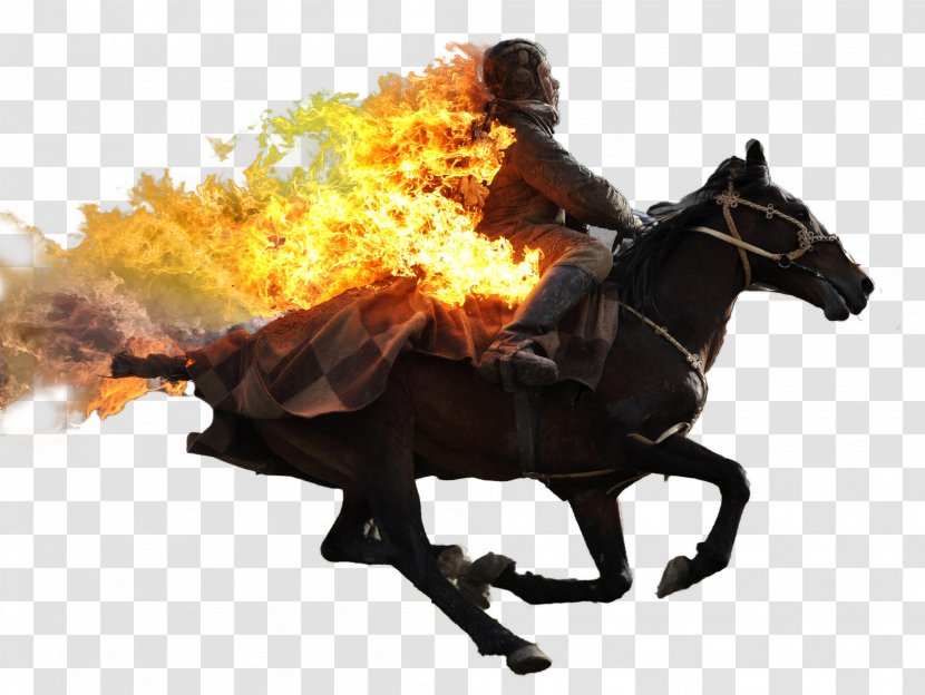 Kyrchin 2016 World Nomad Games Bishkek Mongolia - Fire Transparent PNG