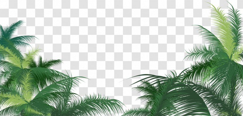Arecaceae Leaf Areca Palm - Green Leaves Transparent PNG