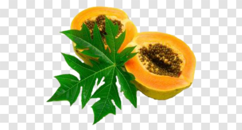 Green Papaya Salad Mountain Leaf - Vegetarian Food - Dengue Fever Transparent PNG