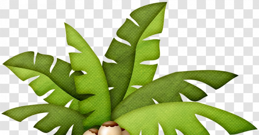 Arecaceae Tree Clip Art - Flowerpot Transparent PNG