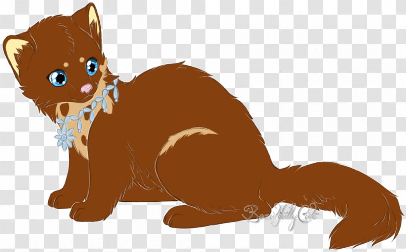Whiskers Kitten Cat Canidae Dog - Organism Transparent PNG