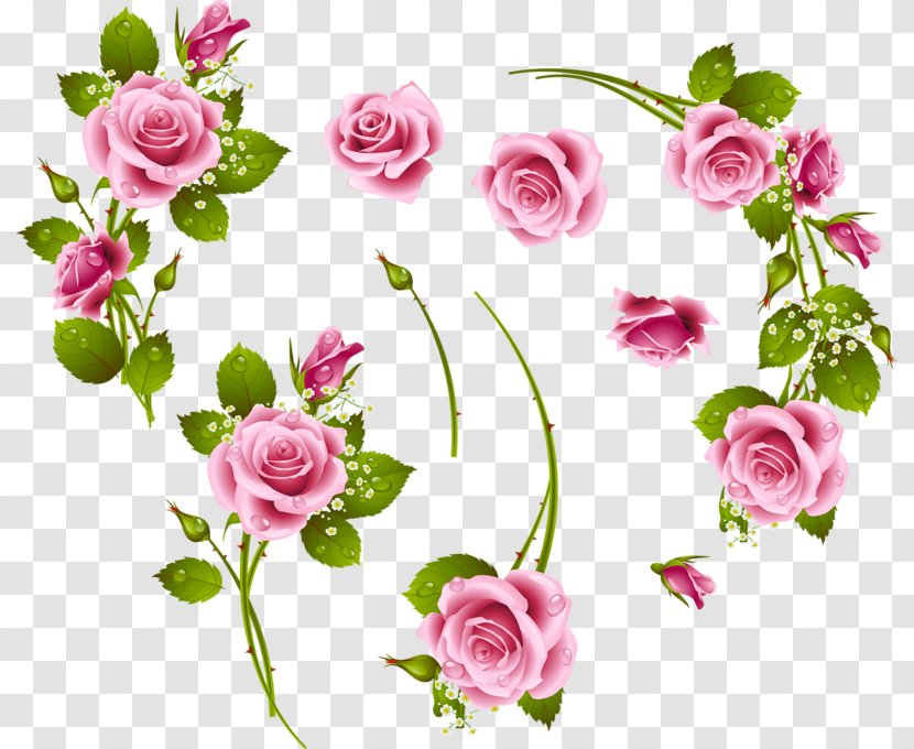 Flower - Rose Order - Watercolor Painting Transparent PNG