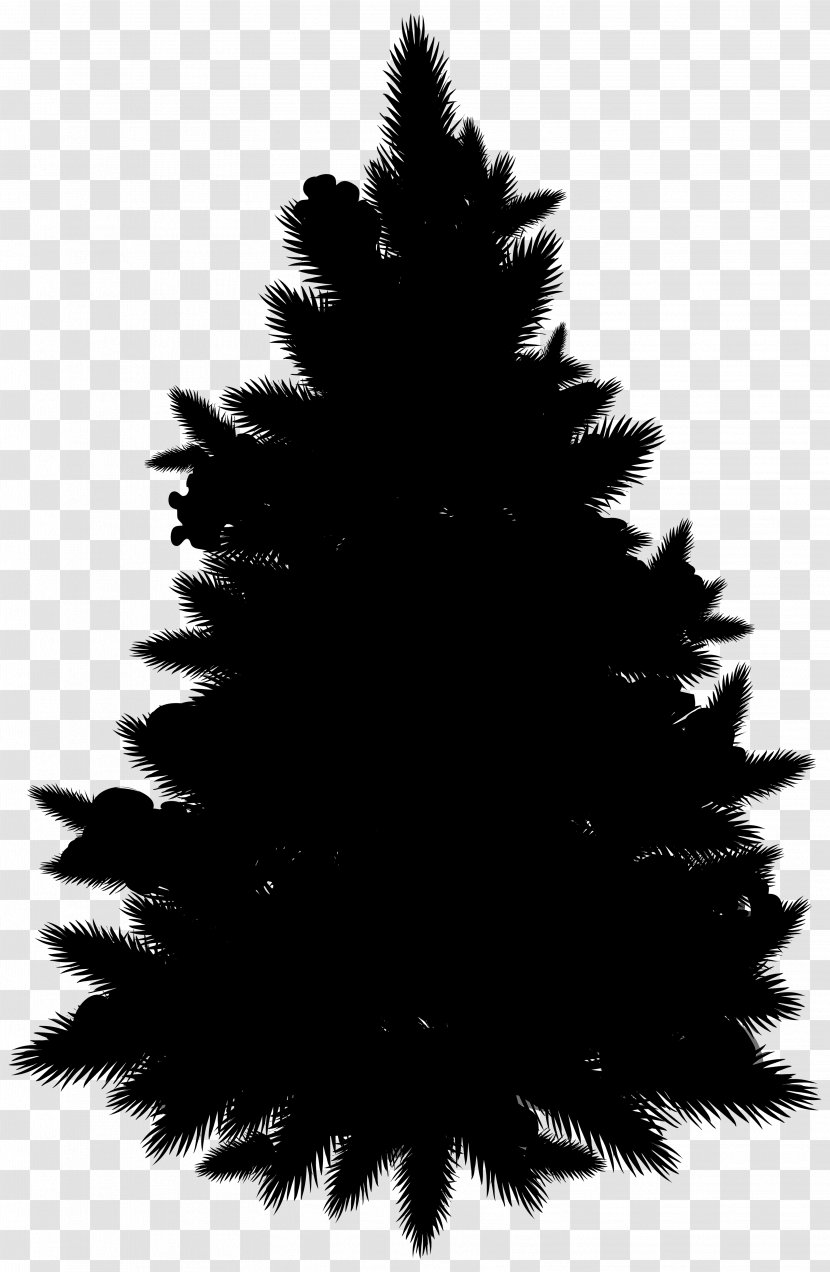 Spruce Christmas Tree Fir Ornament Pine - Monochrome Photography - Plant Transparent PNG