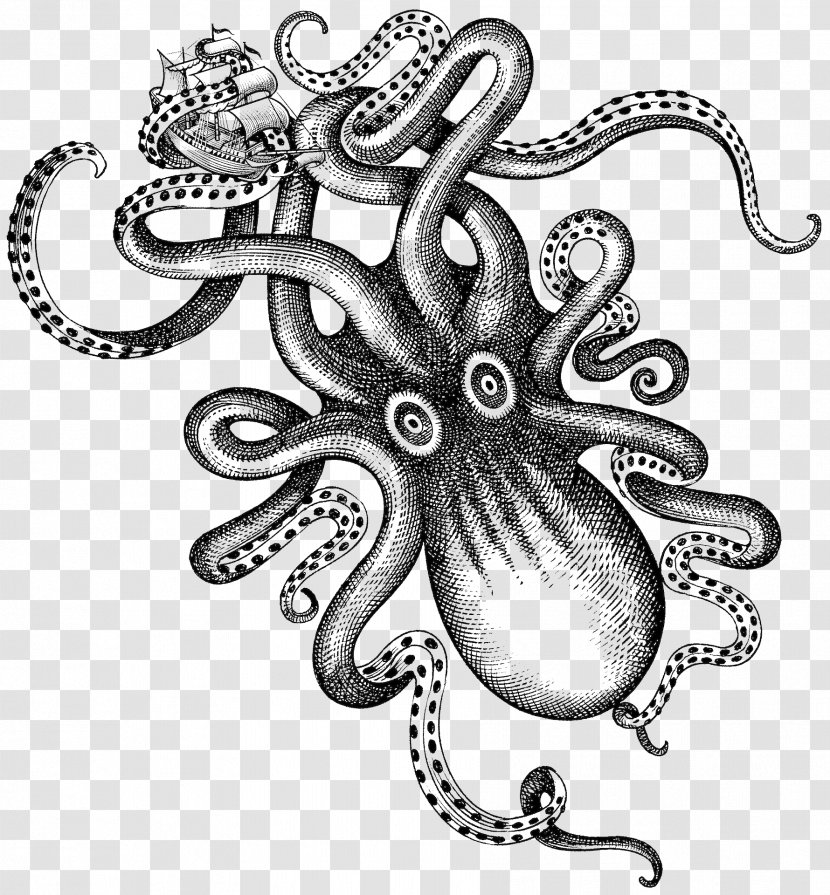 Kraken Rum Liquor Octopus - Drawing - Watercolor Transparent PNG