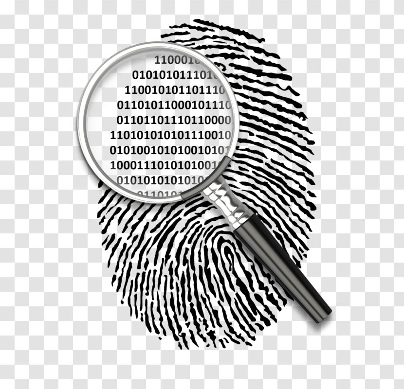 Forensic Science Digital Forensics Computer Criminal Investigation Crime - Monochrome - Binary Code Images Transparent PNG
