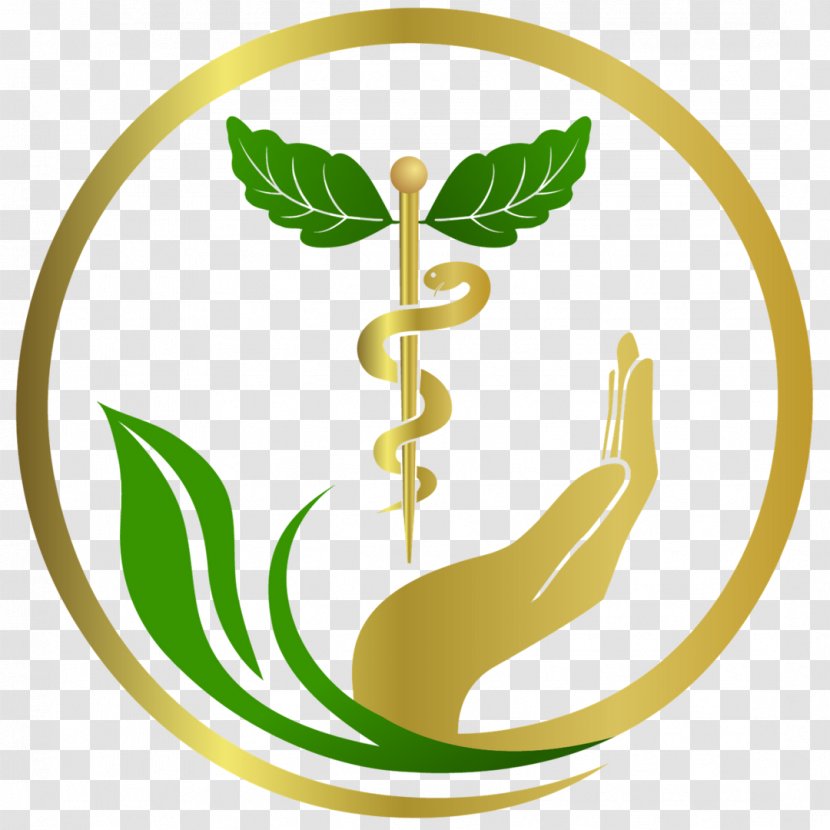 Green Leaf Logo - Health Care - Emblem Plant Transparent PNG