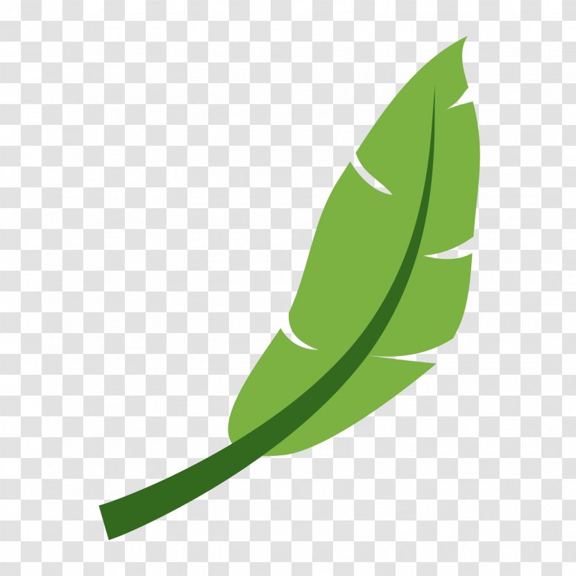 Haiku Operating Systems BeOS - Leaf Transparent PNG