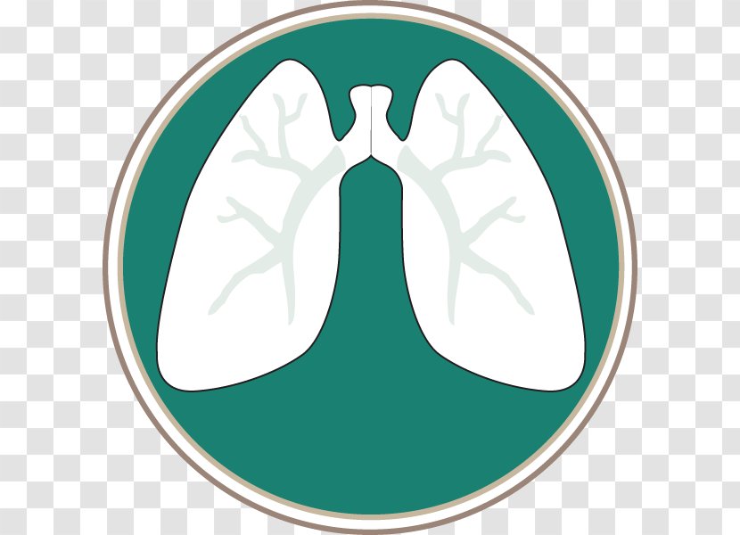 Interstitial Lung Disease Pulmonology Pulmonary Hypertension Southern Specialists, PC - Lungs Transparent PNG