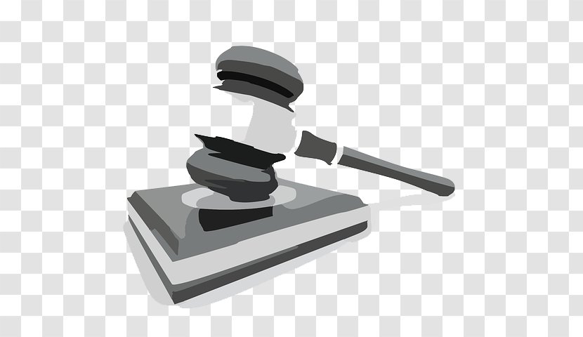Criminal Defense Lawyer Organization Court - Corporate Transparent PNG