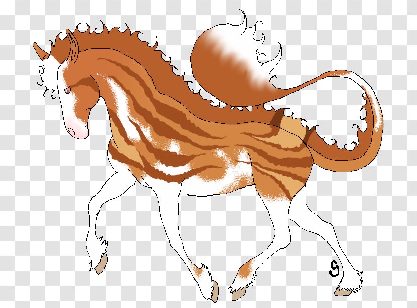 Mane Mustang Foal Halter Stallion - Pack Animal Transparent PNG