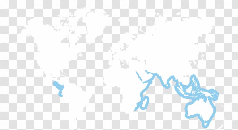 World Logo Desktop Wallpaper - Map Transparent PNG