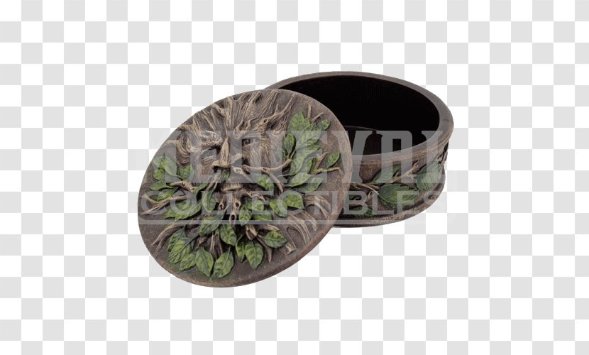 Flowerpot Herb - Green Round Box Transparent PNG