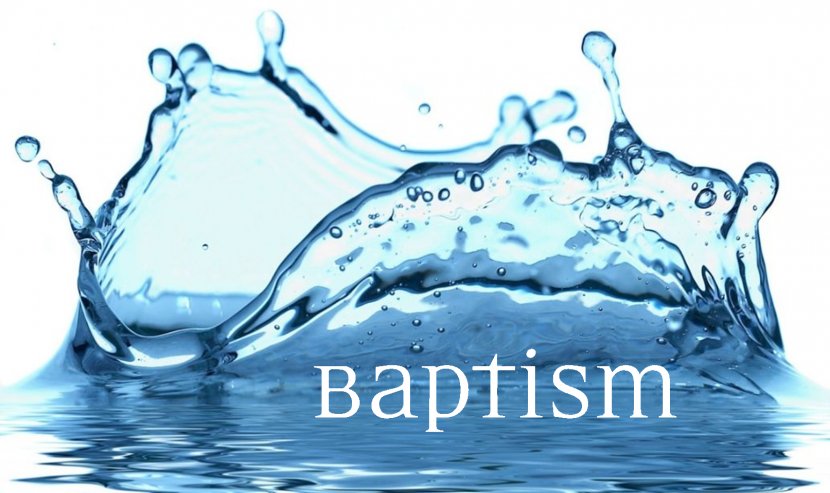 Bible Believer's Baptism Christianity Christian Church - Salvation - Water Transparent PNG