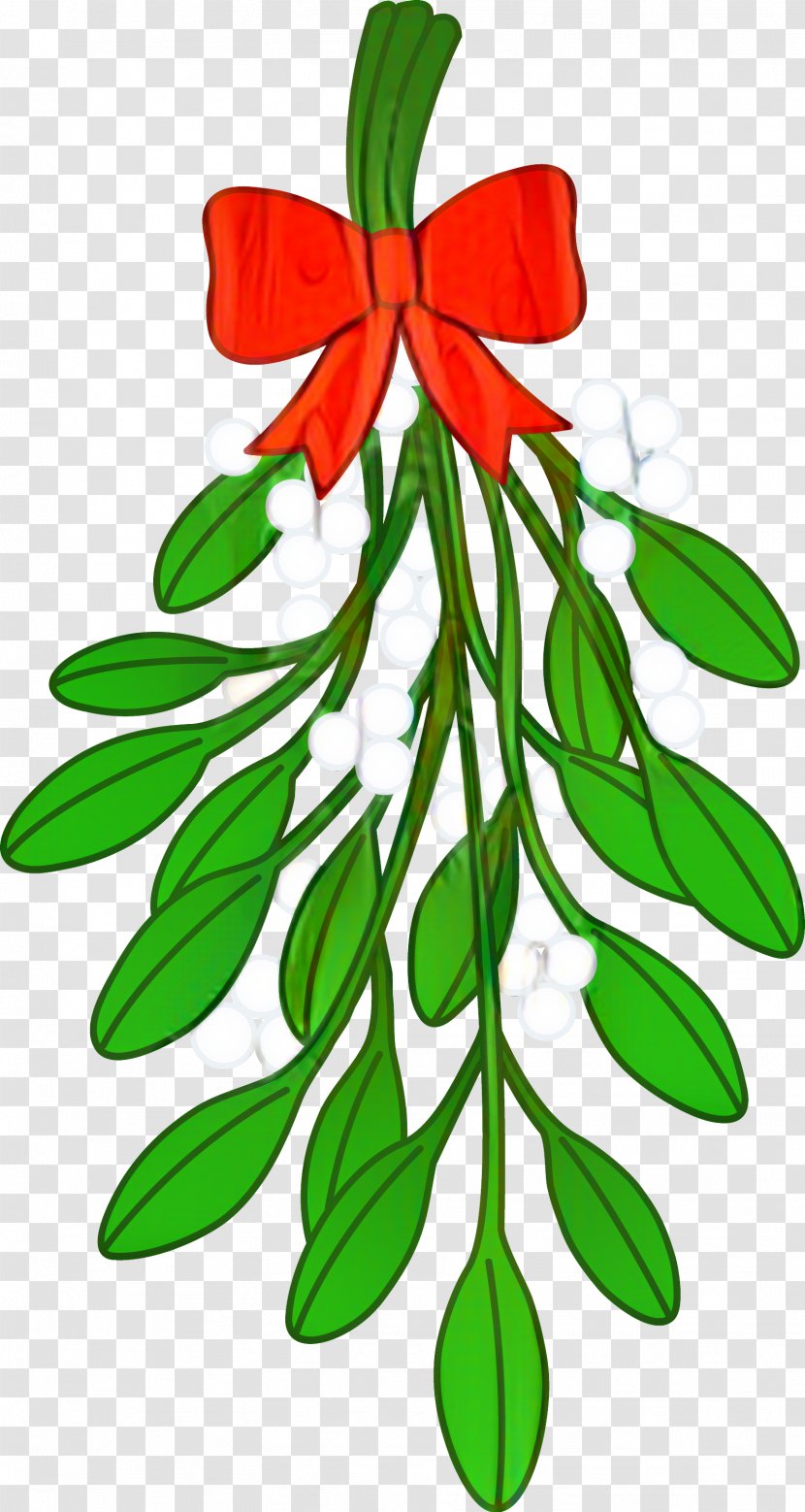 Christmas Clip Art - Branch - Plant Stem Tree Transparent PNG