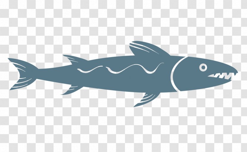 Requiem Shark Cartoon - Digital Image - Sharks Creative Transparent PNG